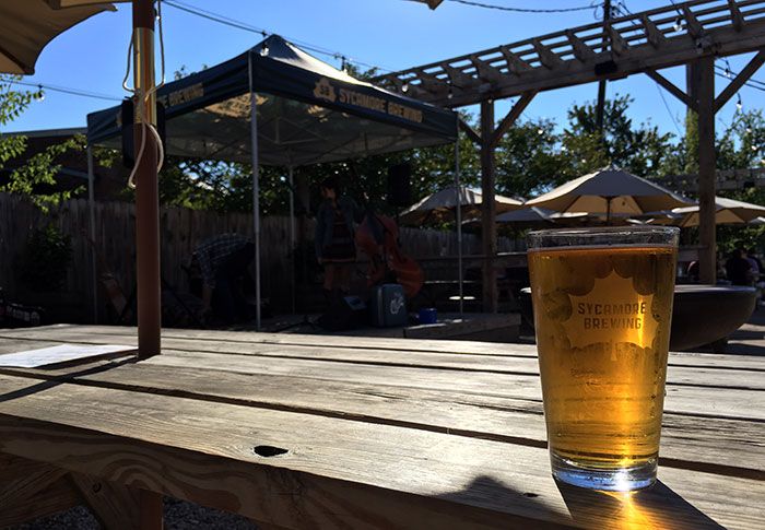 sycamore-beer-early-in-the-morning