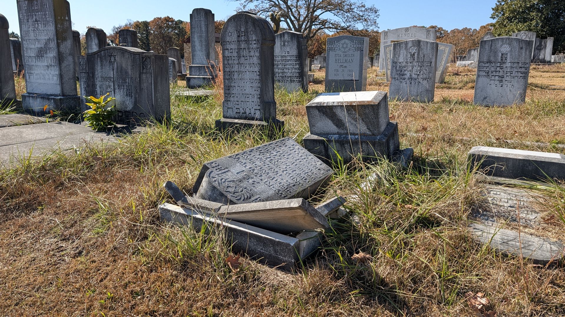 Jewish burial sites with numerous gray tombstones, some worn and one broken on dry grass under a clear blue sky, with a tree and autumn foliage in the background.