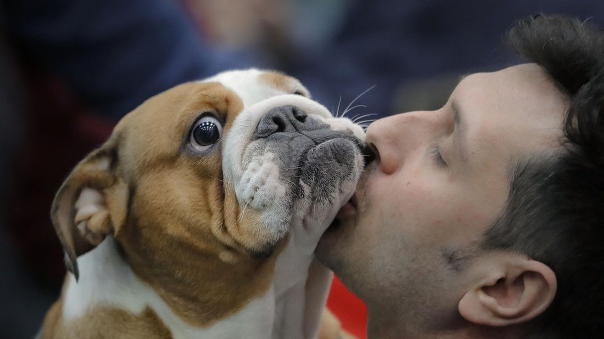 One Trait Helps Explain How Animals Became Domesticated