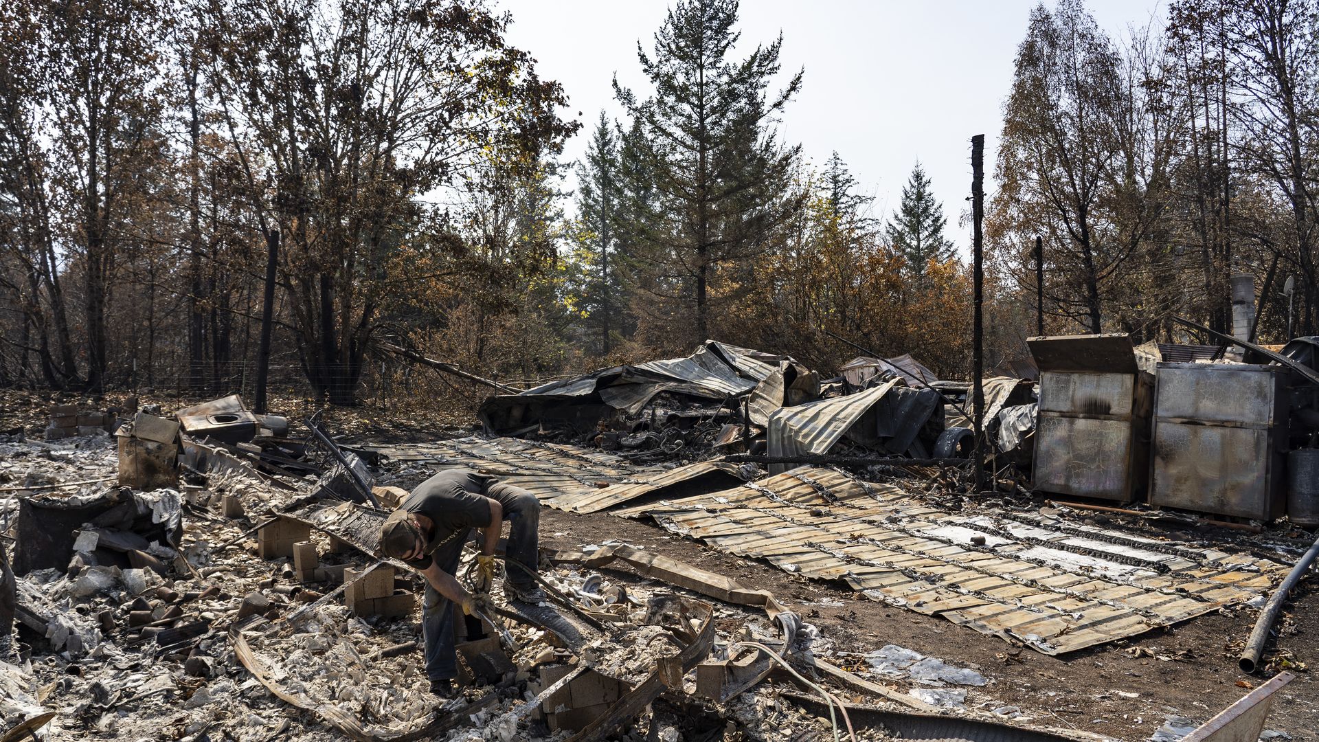 Person wearing gloves and a cap sifts through ash and debris of a burnt structure surrounded by charred trees and twisted metal sheets on the ground under a clear sky.