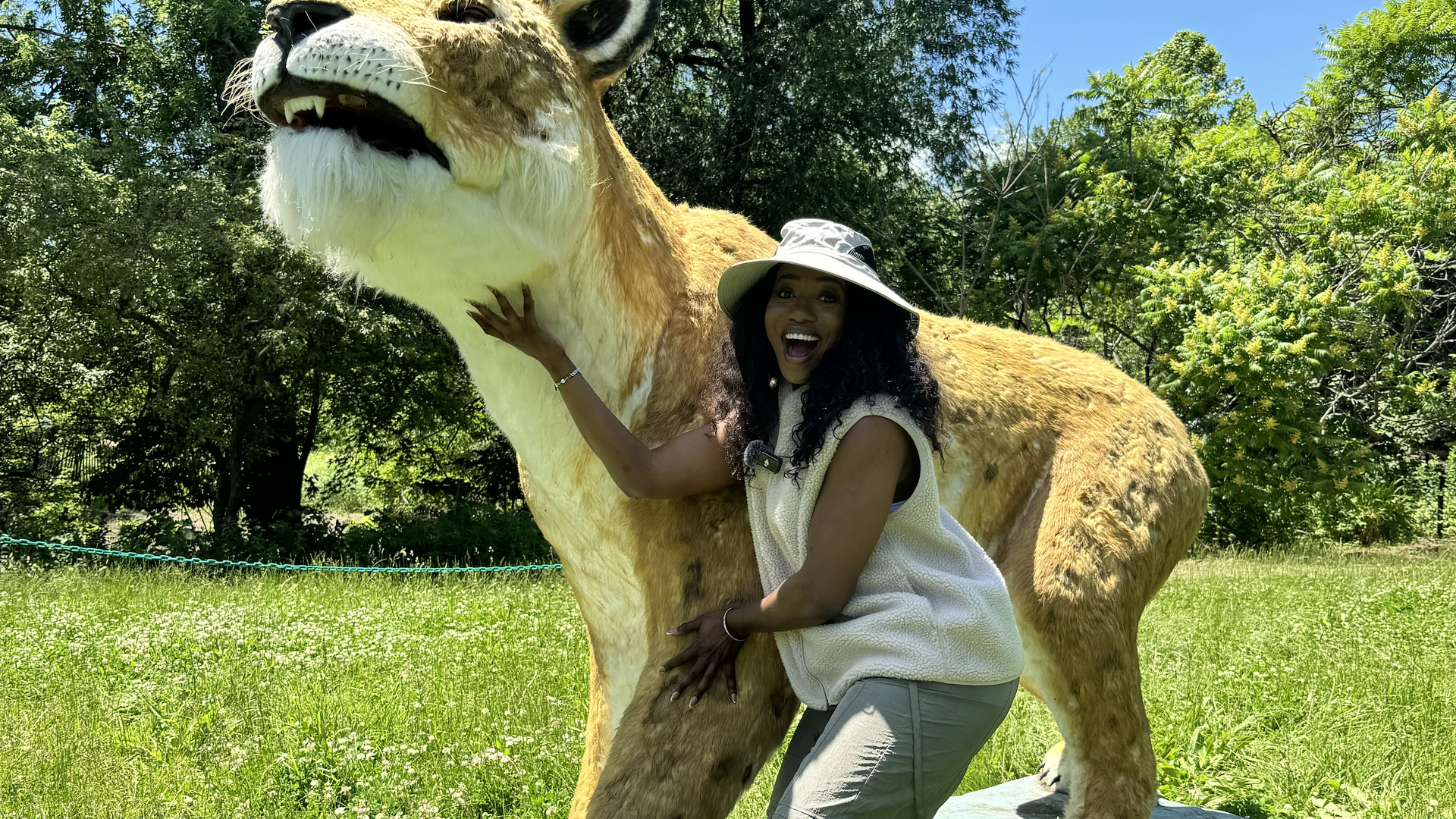 Photo of a woman standing in front of a stuffed lion 