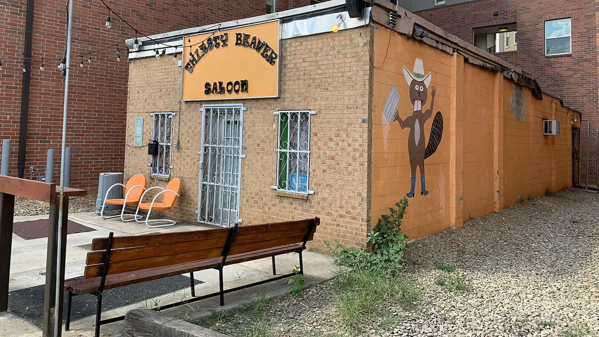 thirsty beaver plaza midwood dive bar