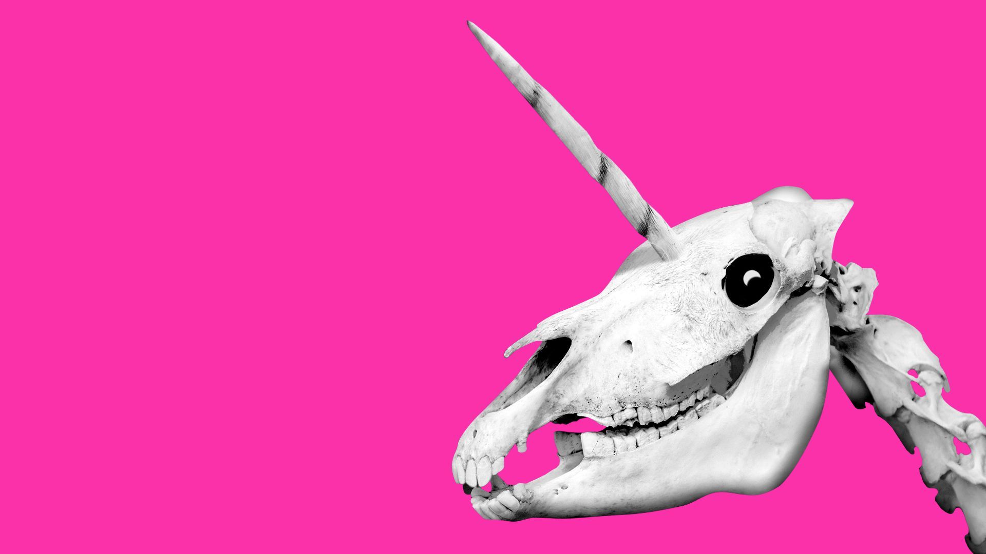 Illustration of a smiling unicorn skull. 