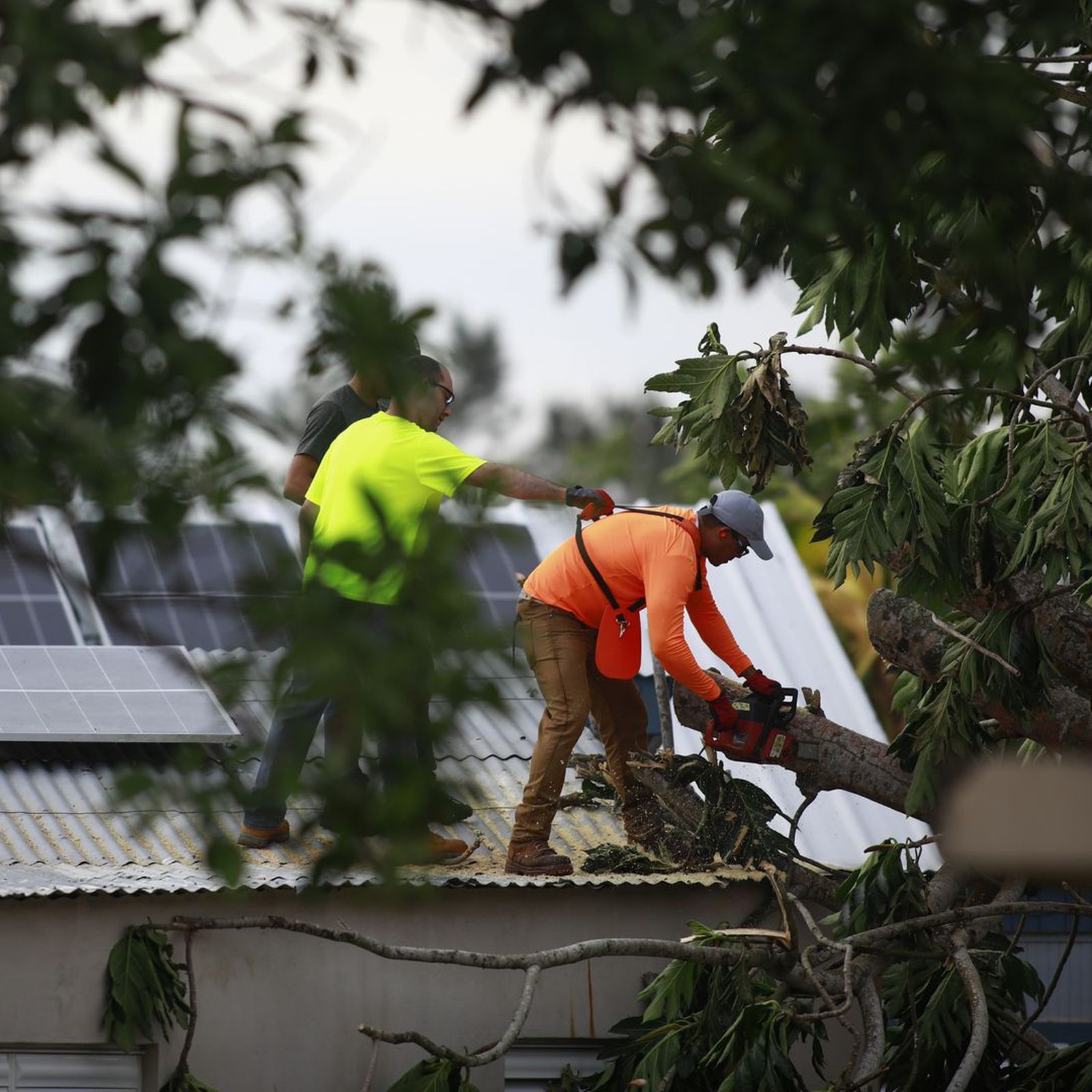 Getting Puerto Rico back on track