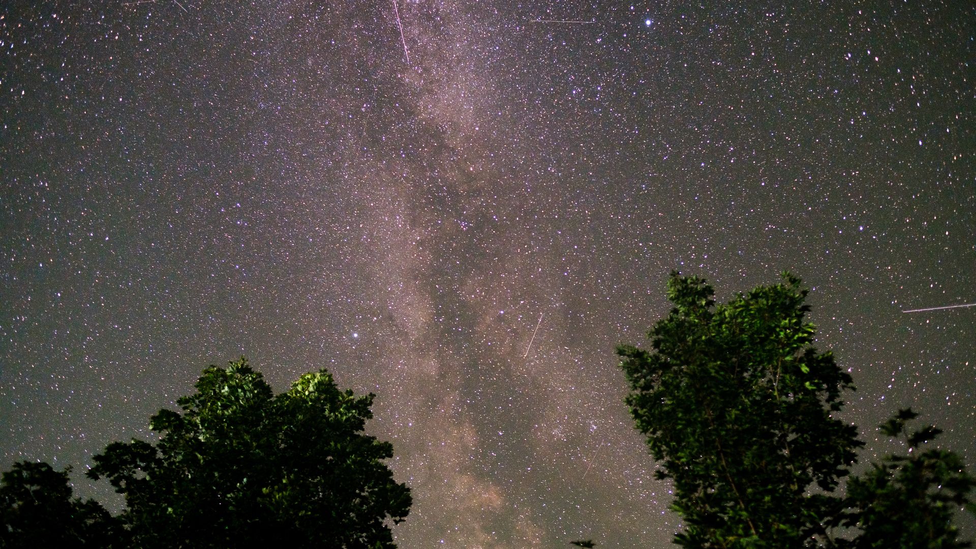 An illuminated and star-covered night sky with trees visible at the bottom