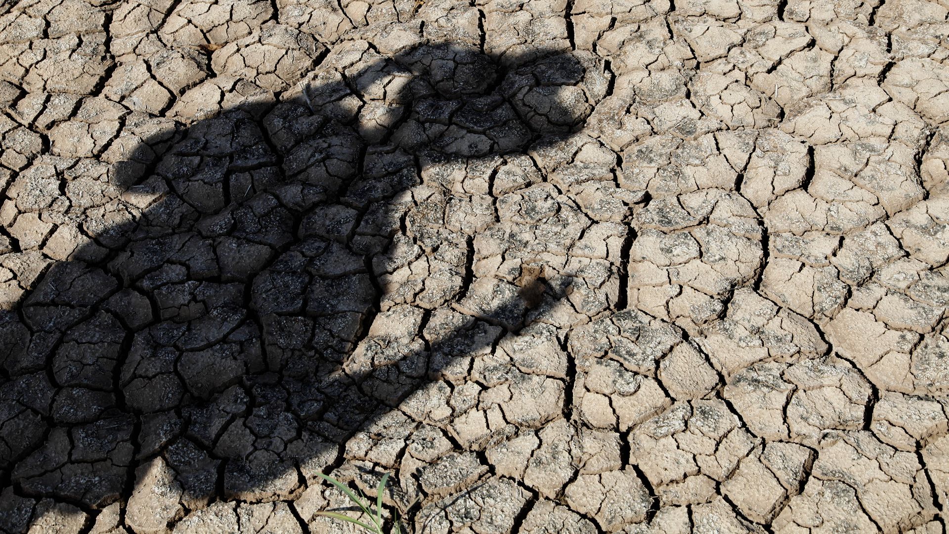 Photo of drought-stricken ground in New Mexico