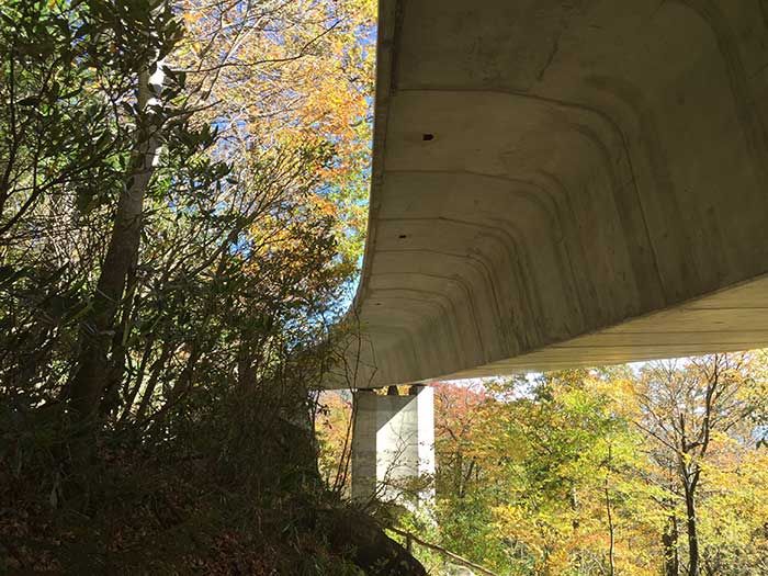 linn-cove-viaduct-under