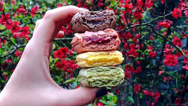 amelie's-macaroons