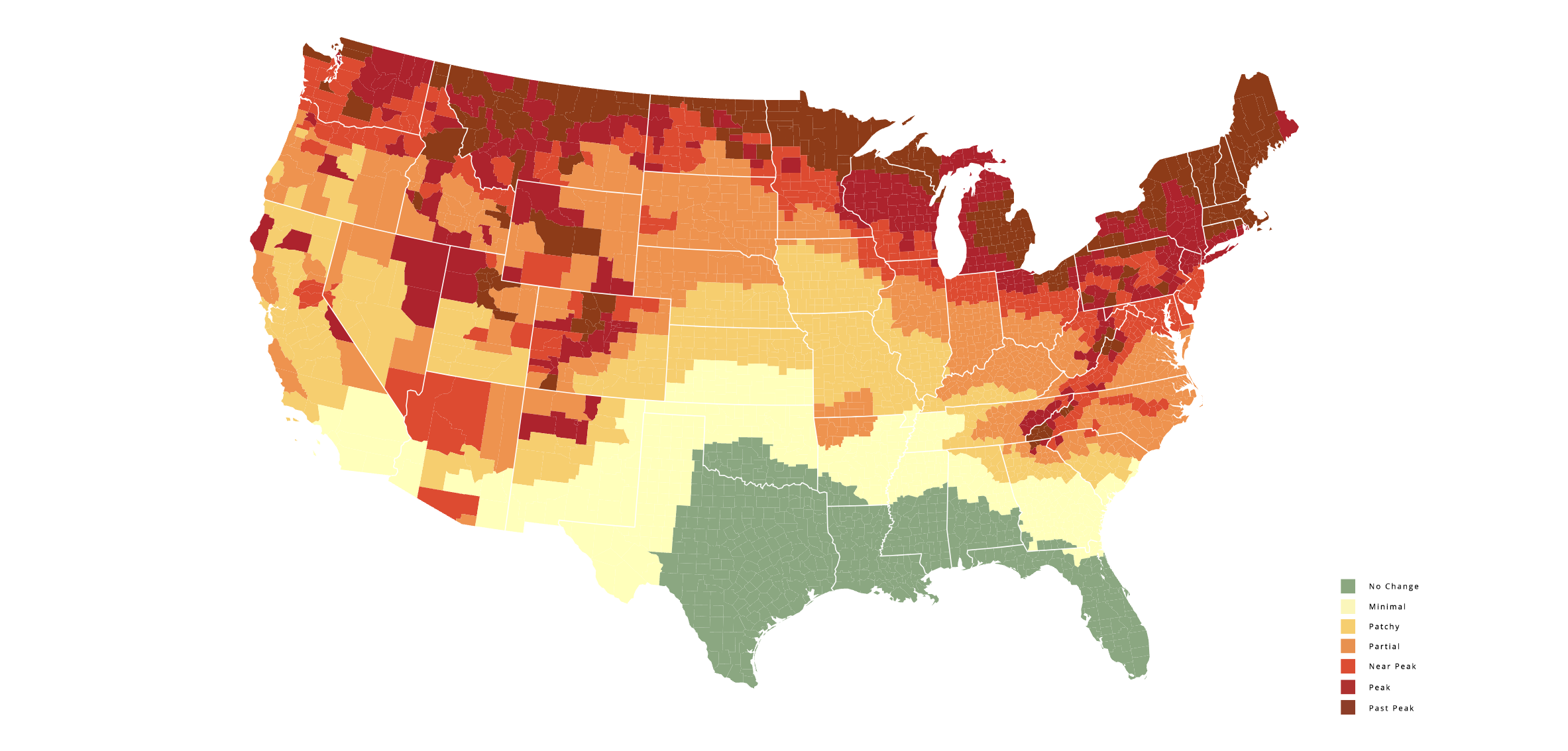 An illustration of a fall foliage map for the week of Oct. 14.