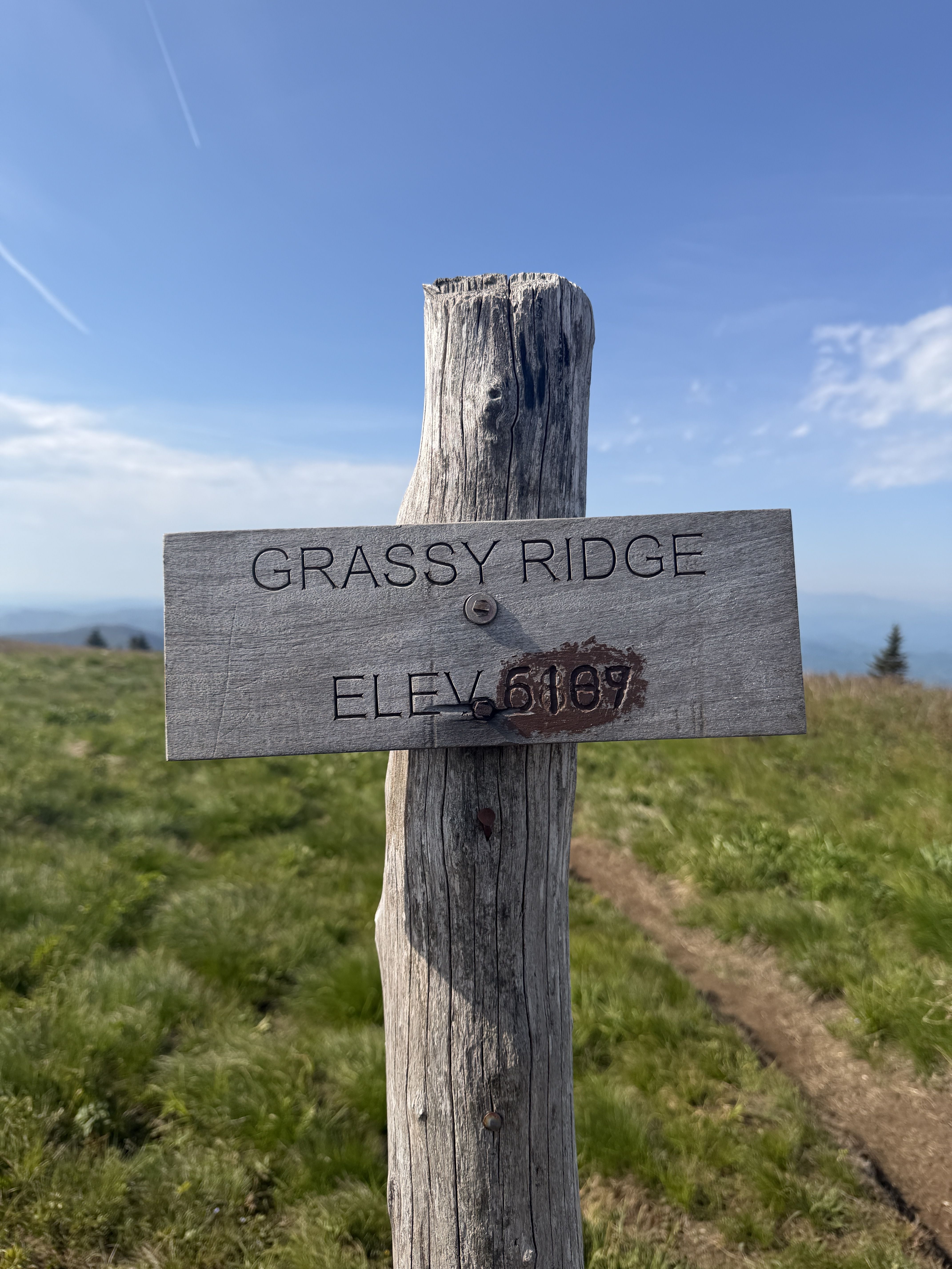 A weathered wooden trail post with a gray metal sign reading "GRASSY RIDGE" and ELEV. 6019, set in a grassy field under a bright blue sky.