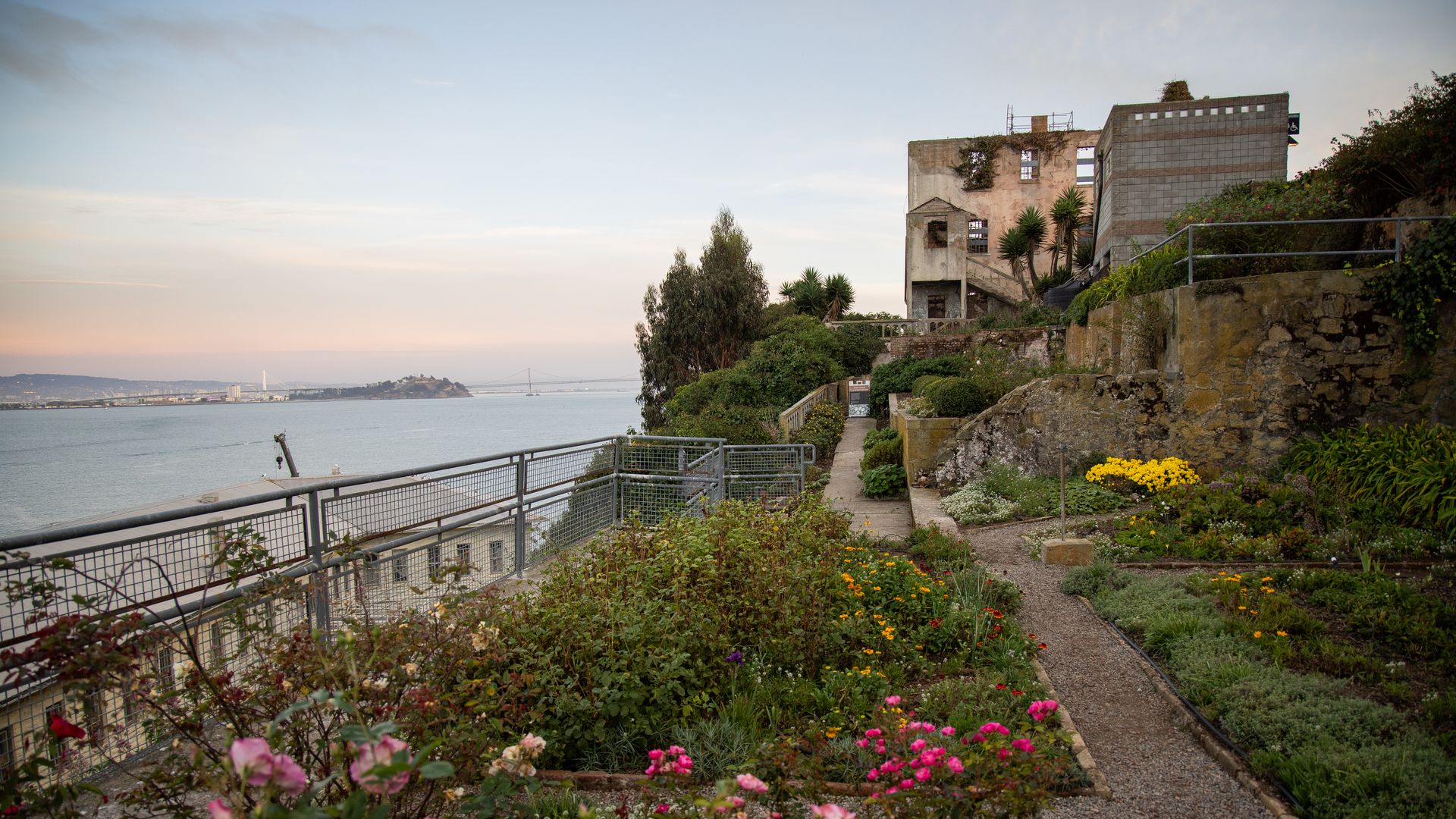 Alcatraz historic gardens.