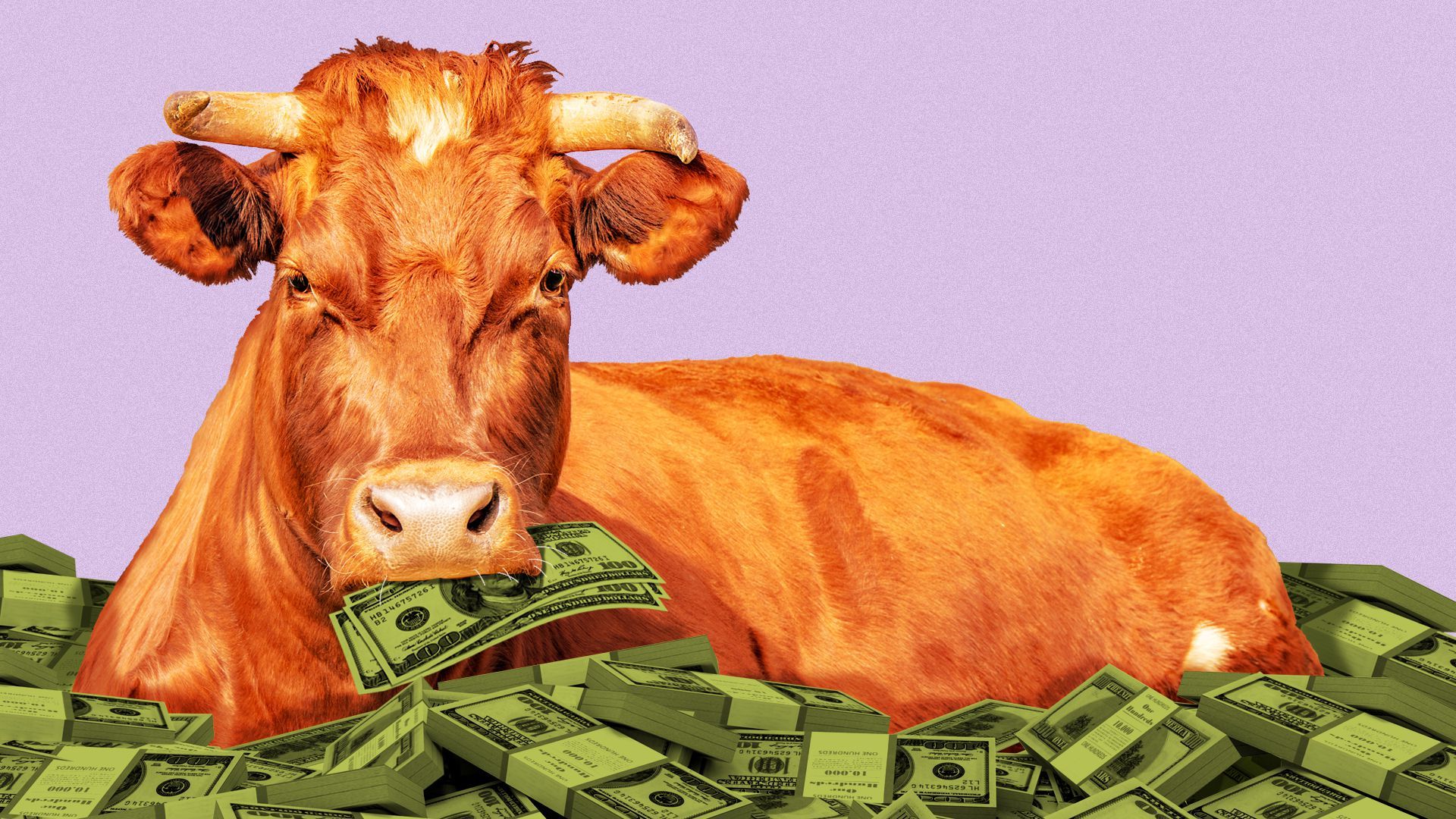 Illustration of a steer in a pile of money with money in it's mouth