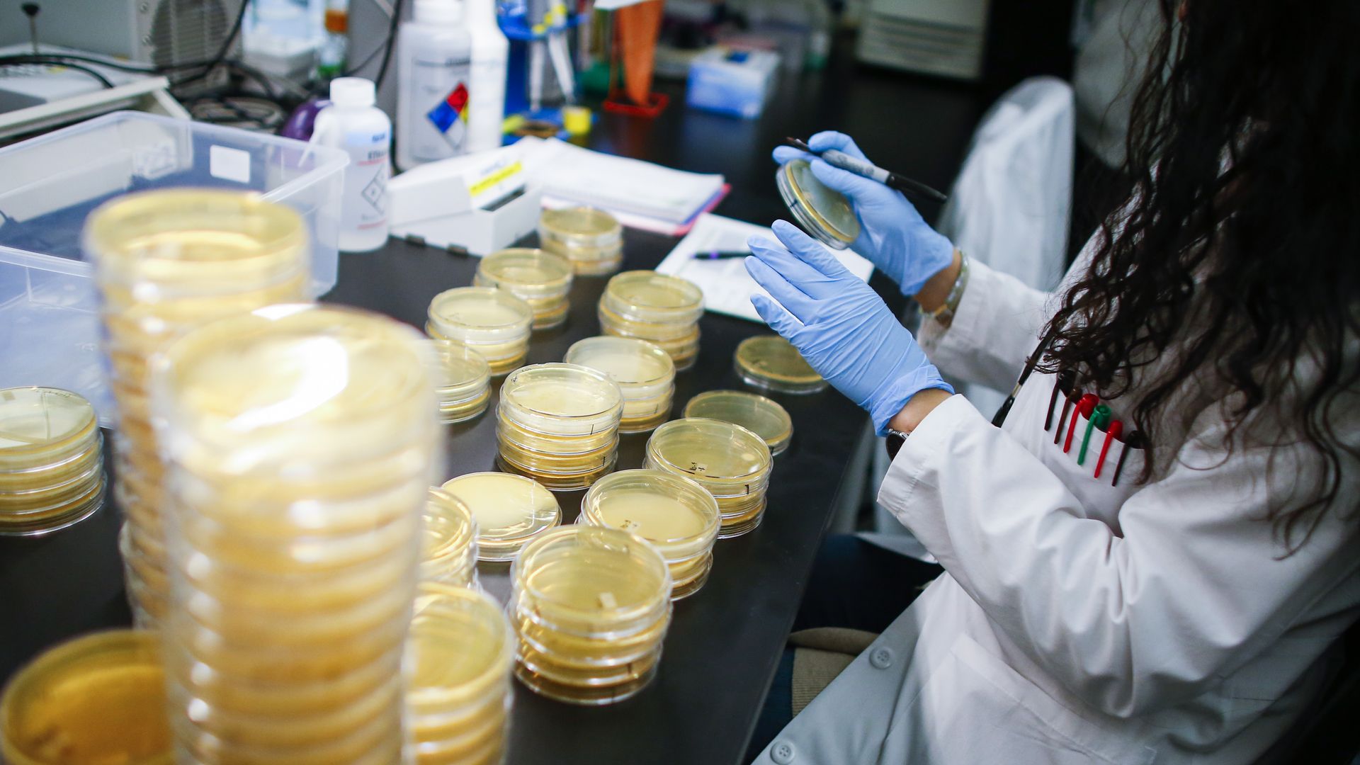 Researcher works on developing a coronavirus test