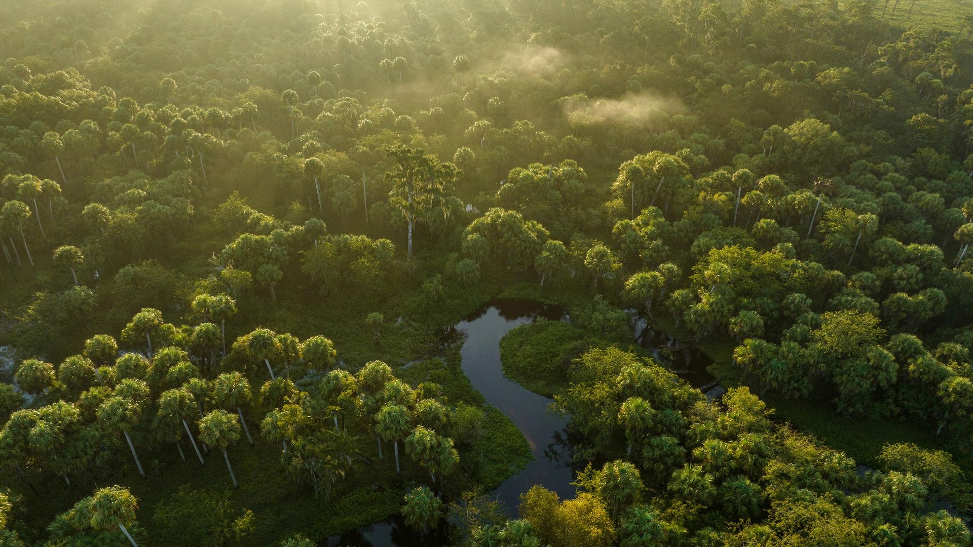 Horse Creek Ranch from the air.