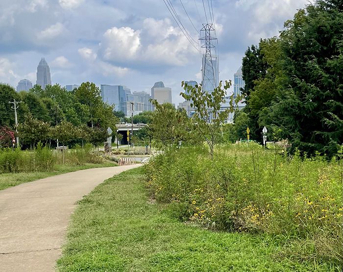 4 Charlotte running routes with skyline views