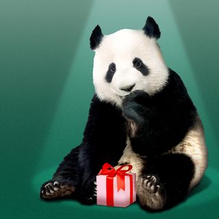 Trump and Xi's summit revives panda diplomacy