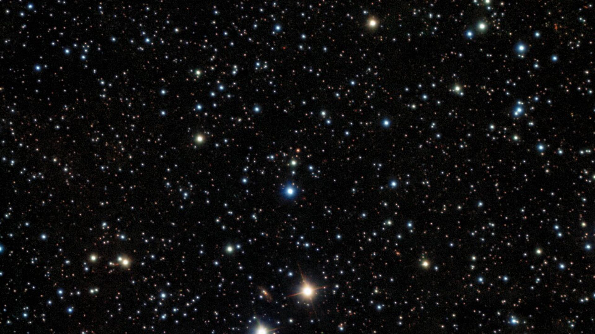 A field of stars in all different colors