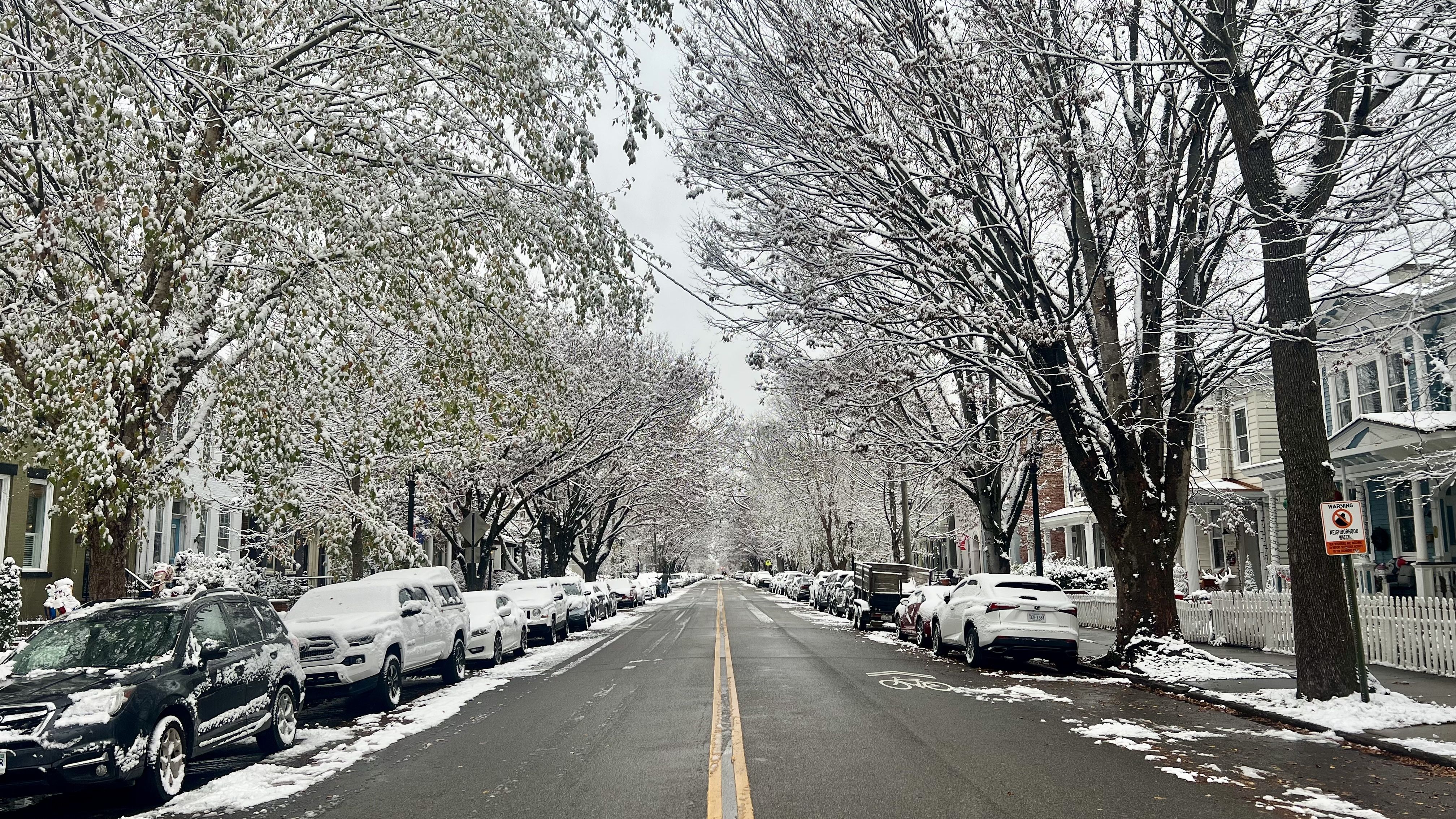 Snow-covered cars and trees line a quiet residential street with houses and white picket fences under a cloudy sky.