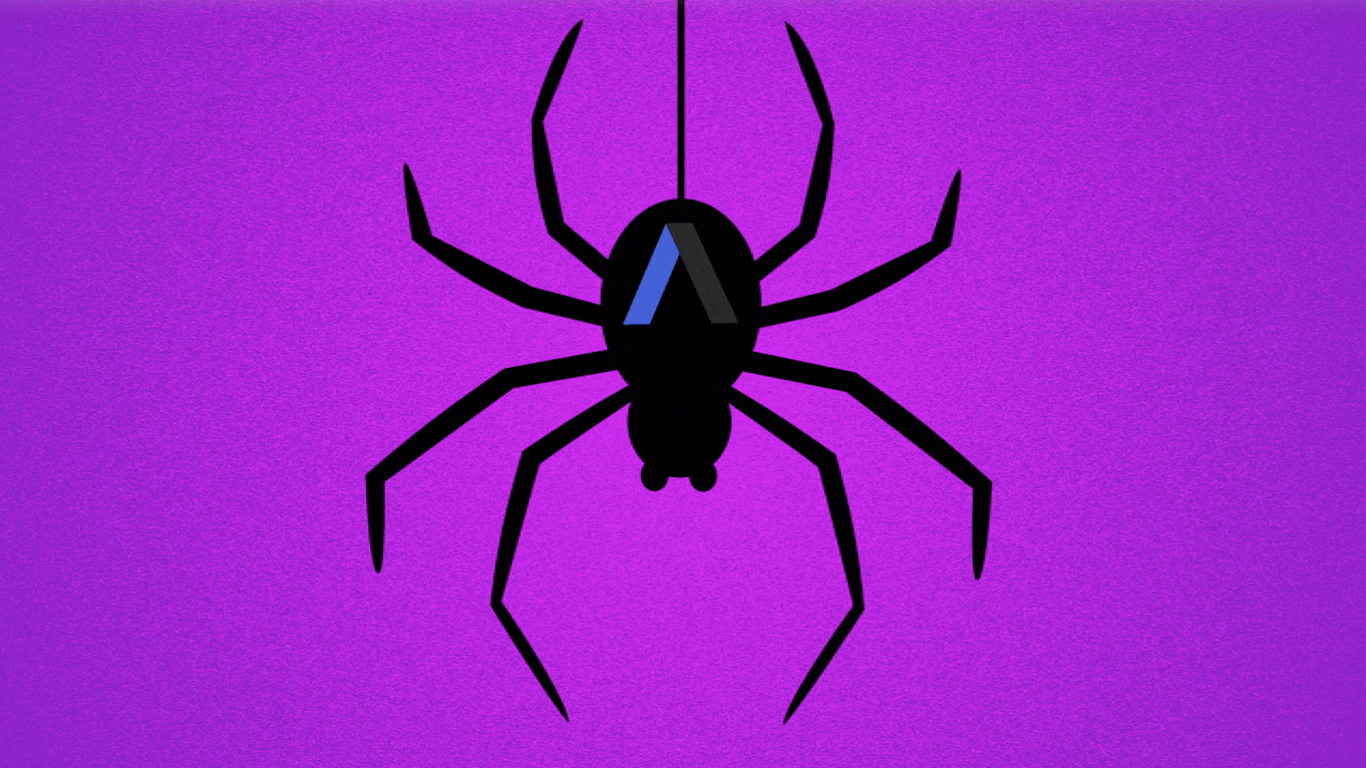 Seattle spiders are in your house and looking for love
