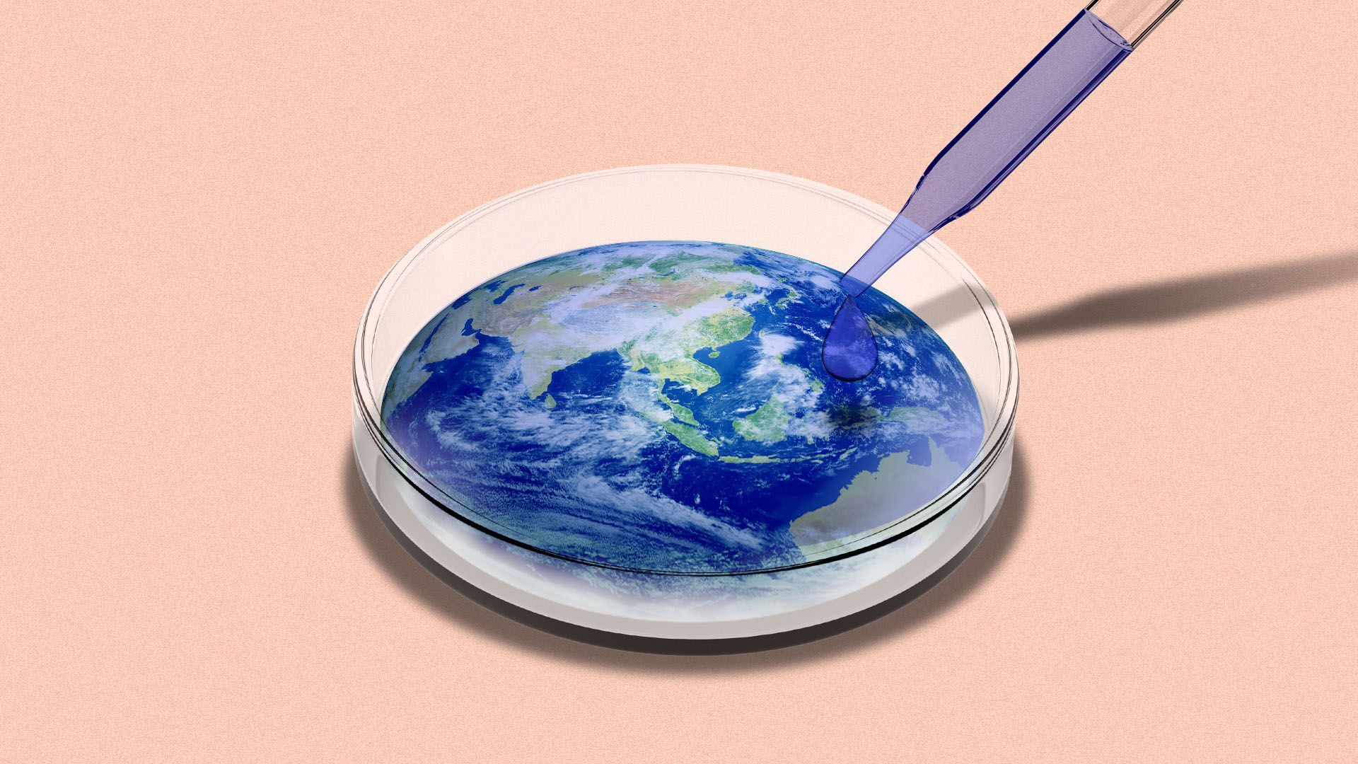 Illustration of the globe in a petri dish with a pipette dripping into it