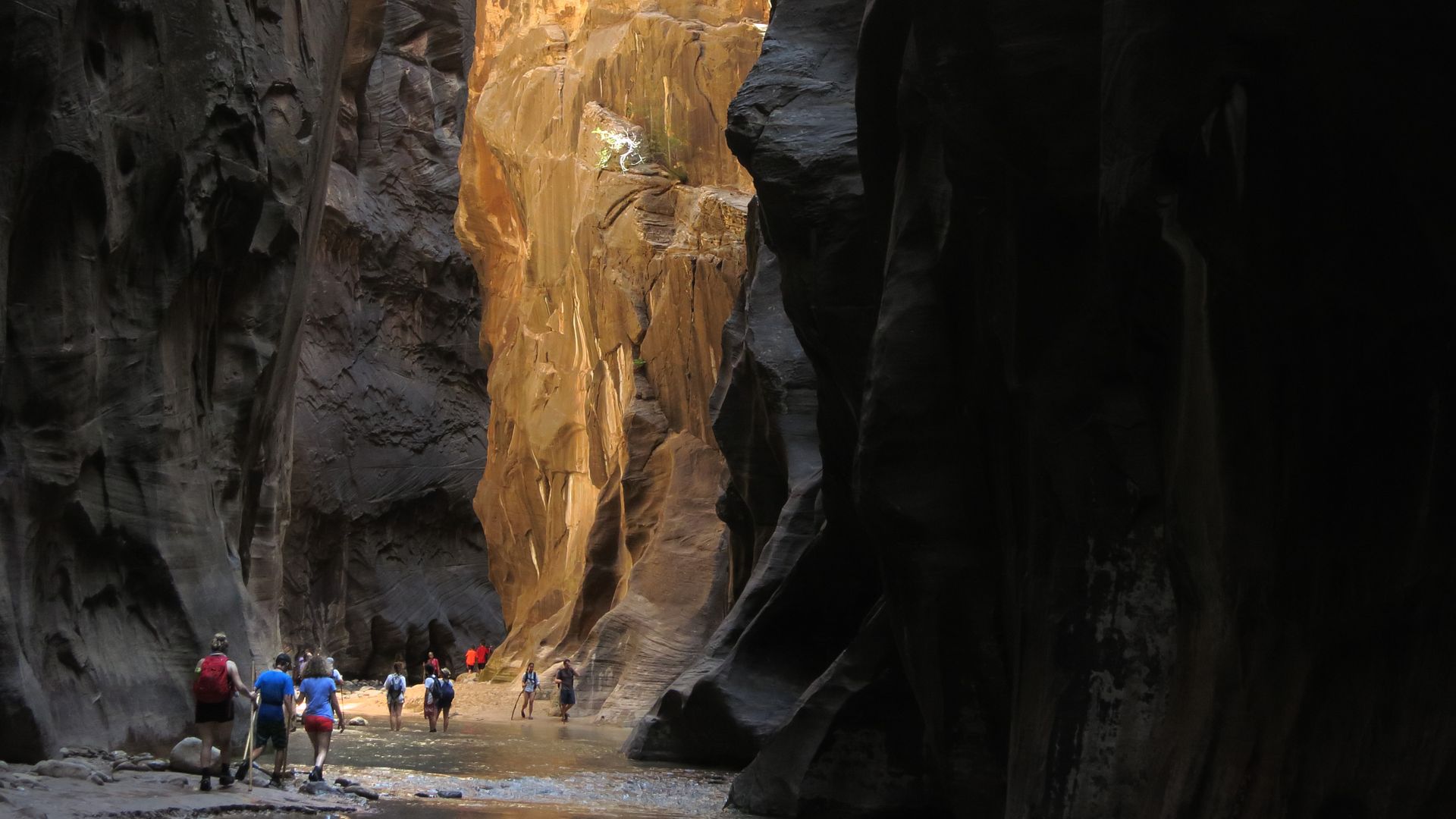 Hikers explore the Virgin River Narrows in Zion National Park.