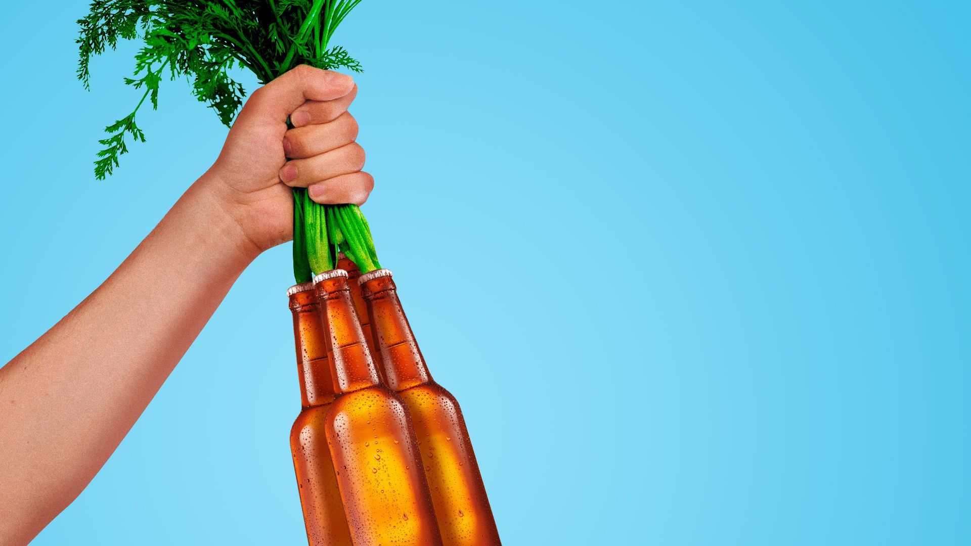 Illustration of a hand pulling up a bunch of beers from the leafy tops, as if they were carrots.  