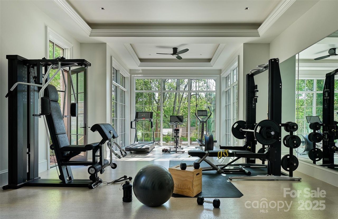 Bright home gym with large windows showing green trees outside, black exercise machines including treadmill, bike, weight bench, and dumbbells, plus a gray exercise ball and wooden box.