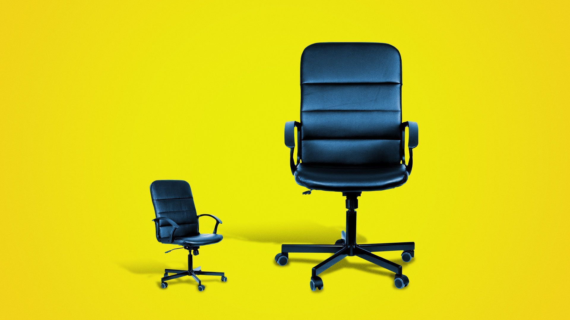 Different sized office chairs