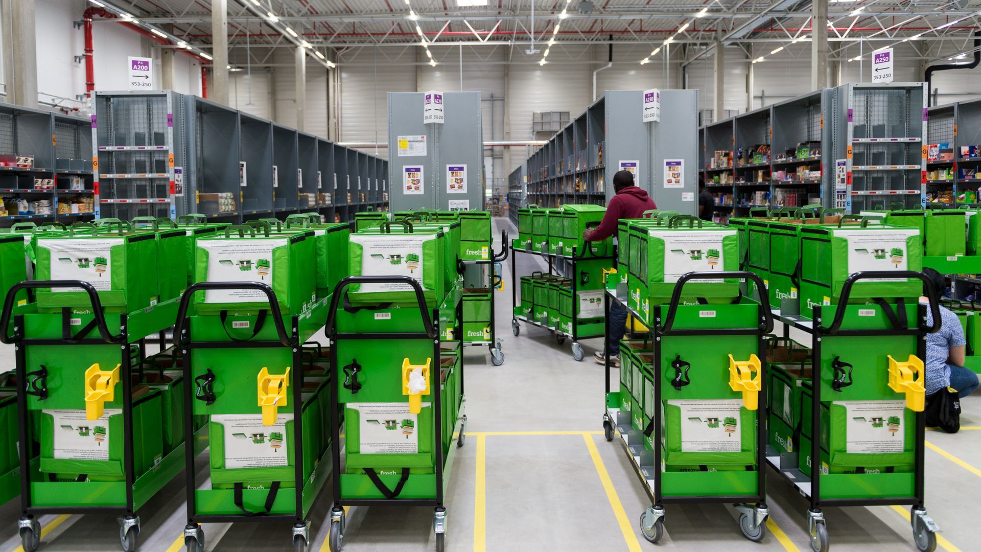 Row of bagged groceries in a warehouse