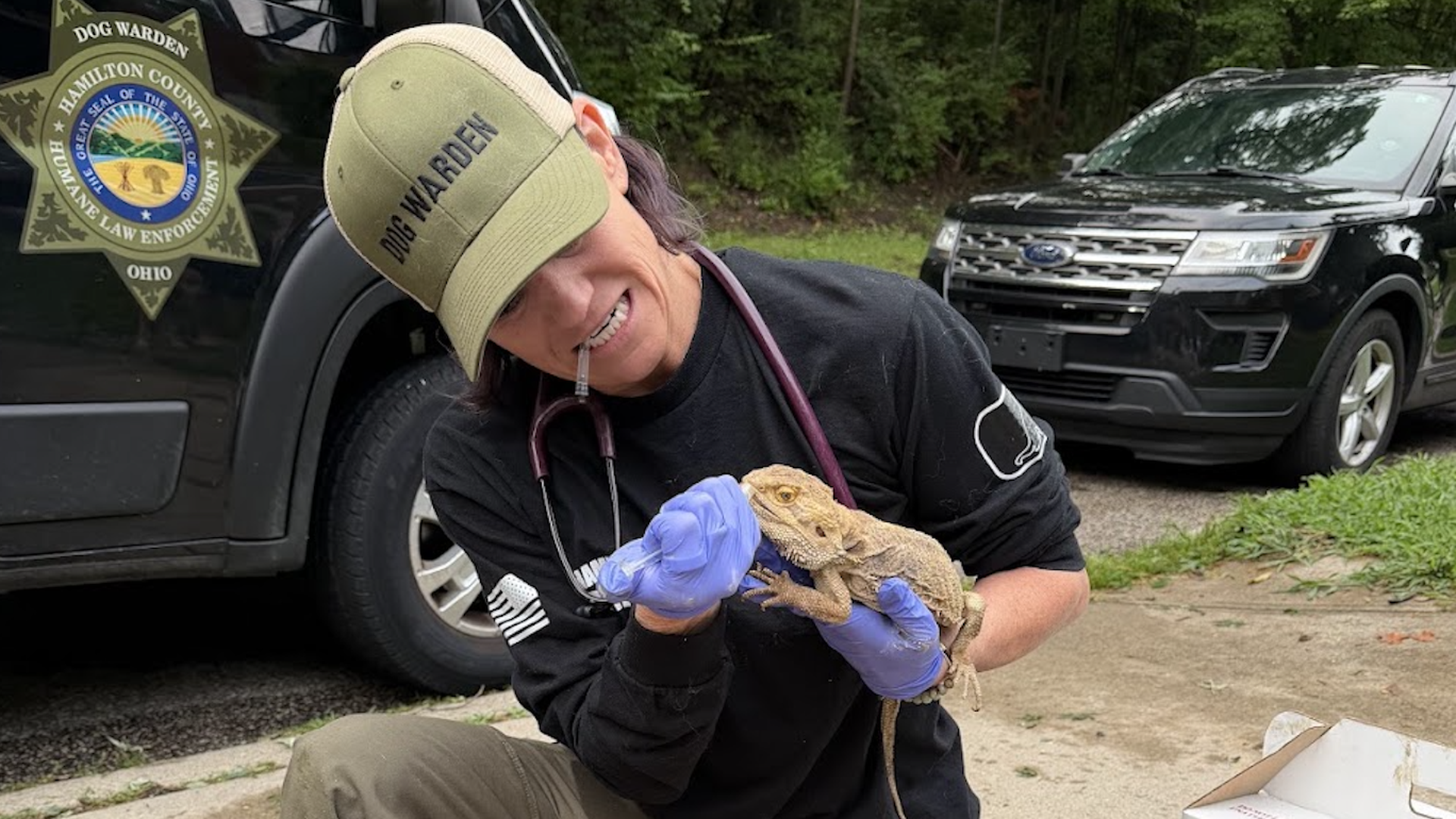 A dog warden in a khaki cap labeled "DOG WARDEN", black shirt, purple gloves, and a stethoscope holds a bearded dragon outdoors beside a dark SUV with a county badge.