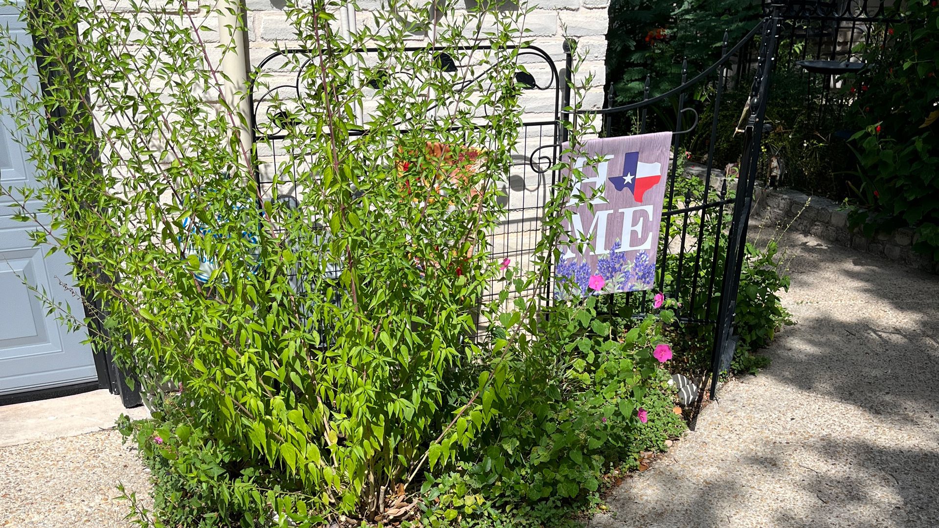 Green leafy bushes and pink flowers in front of a white brick wall and black metal gate. A garden flag reads "HOME" with the shape of Texas as the "O." Bluebonnet flowers sit the bottom of the flag.