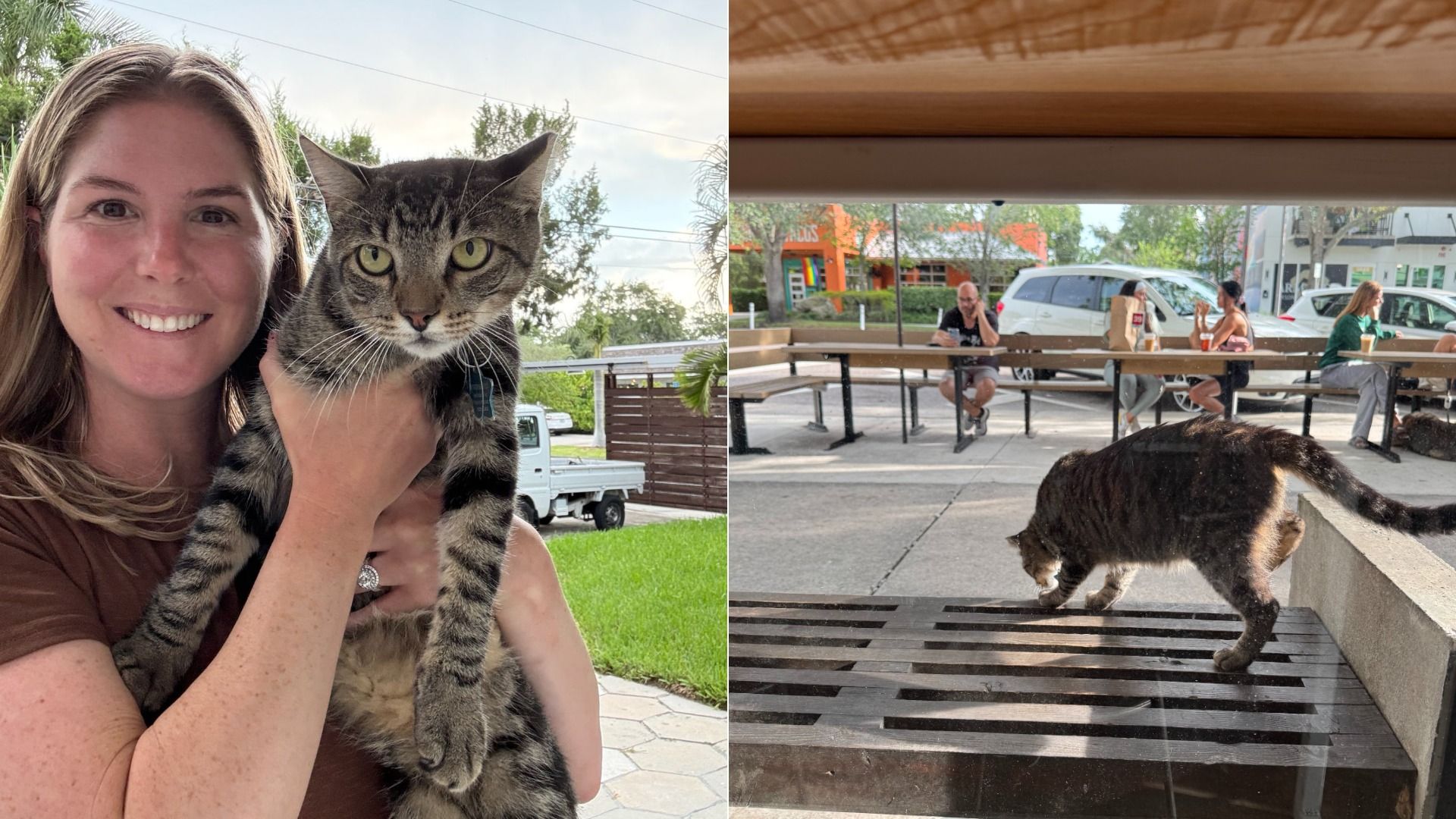 Two photos, one on the left of a smiling woman holding up a cat, and the other of the same cat jumping of a bench at a restaurant.