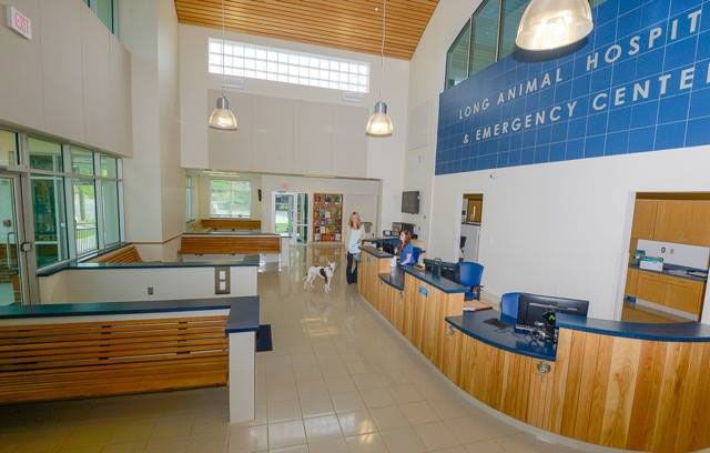 Long Animal Hospital