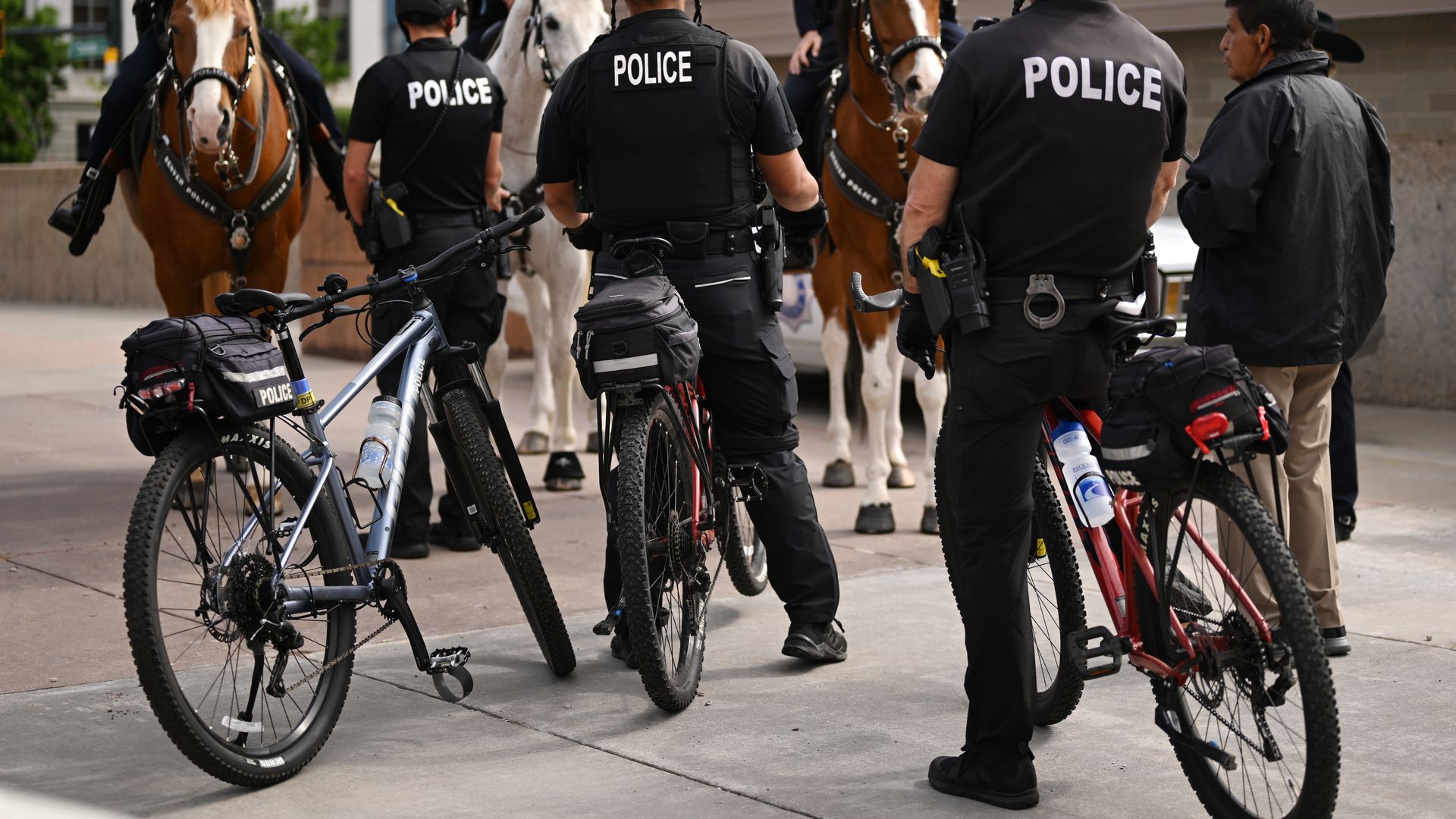 Mounted police officers on horseback in a city street, wearing black uniforms and helmets; bicycles in the foreground with modern buildings in the background.