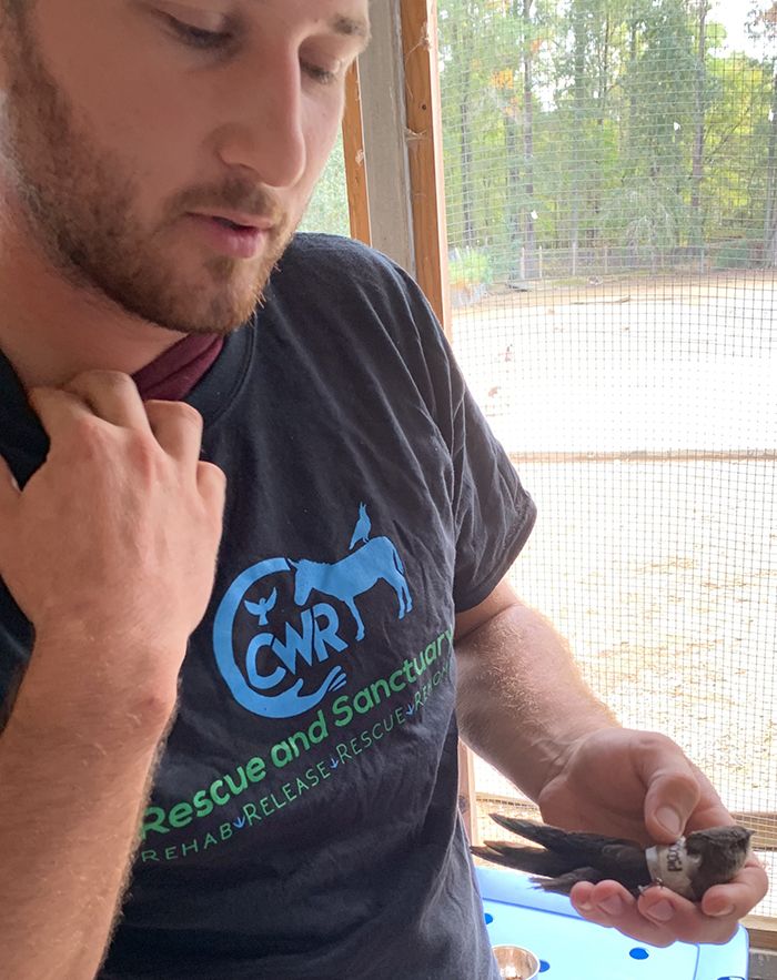 Keenan Freitas at Carolina Waterfowl Rescue