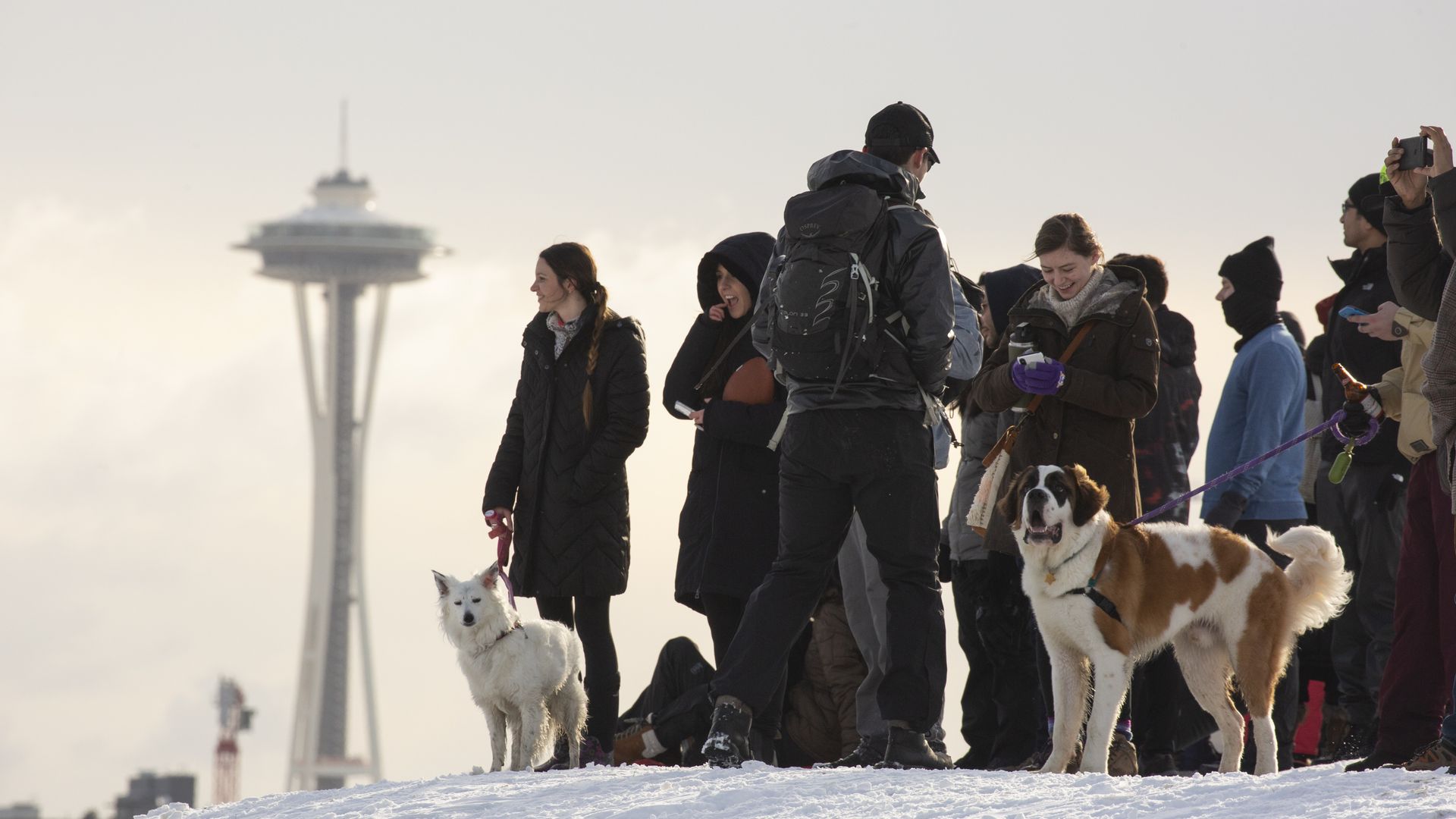 A crowd of people and pups play at Gas Works Park in Seattle after a storm blanketed the city with snow.