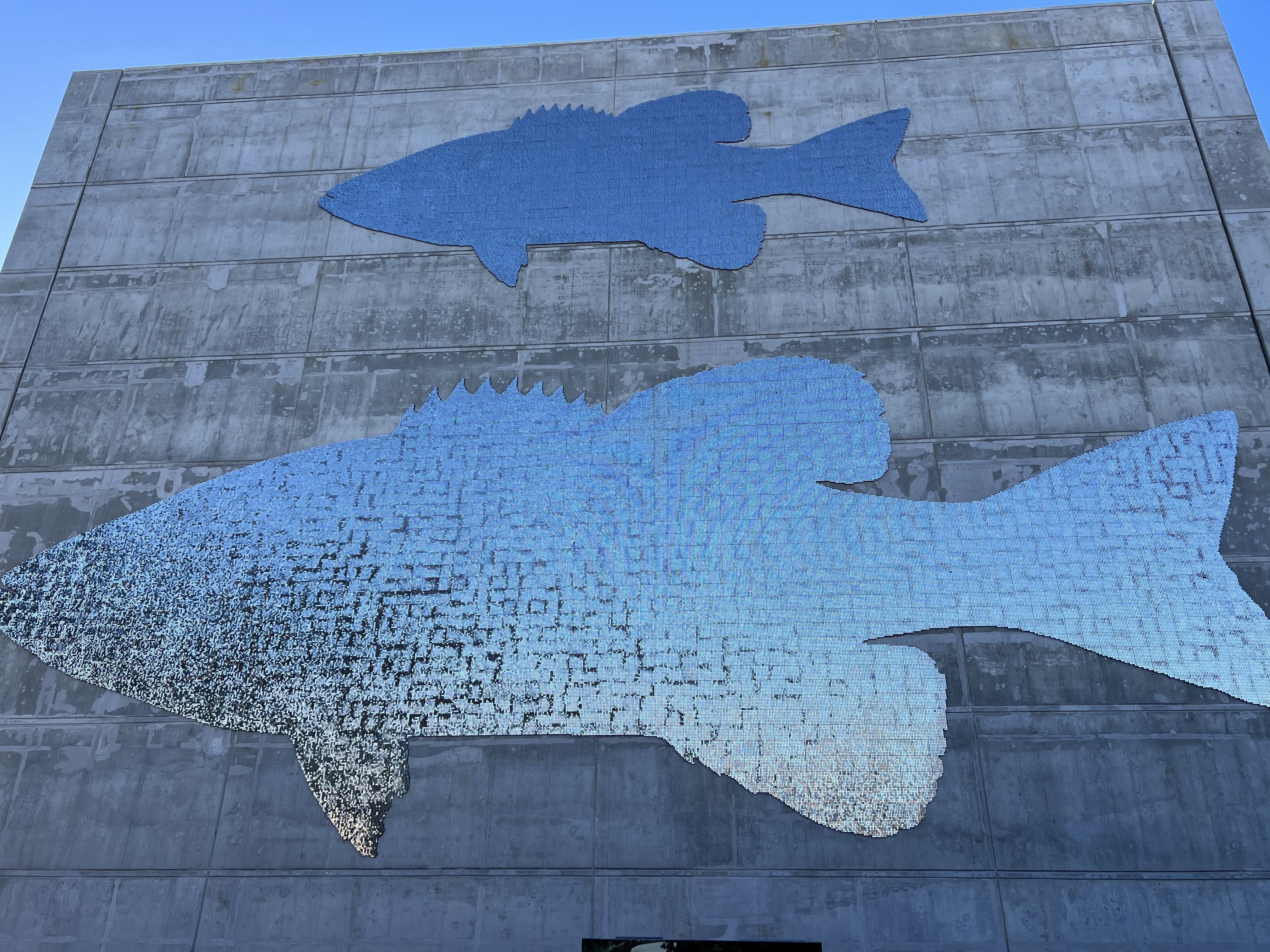 thousands of stainless steel disks arranged in teh shape of a fish, in an art installation in Bentonville, Arkansas