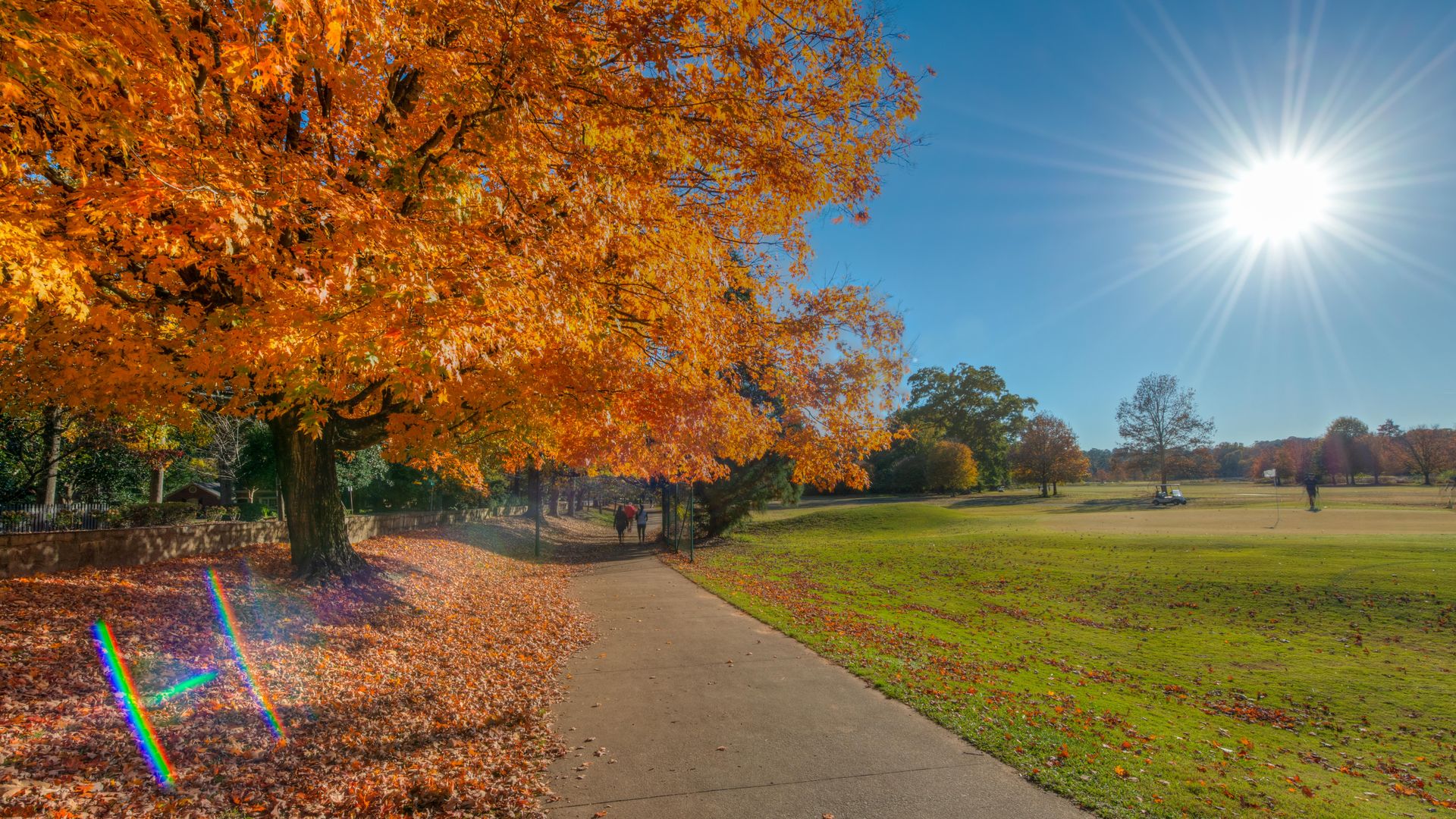 People walking on a pave path in autumn as the leaves turn yellow and orange