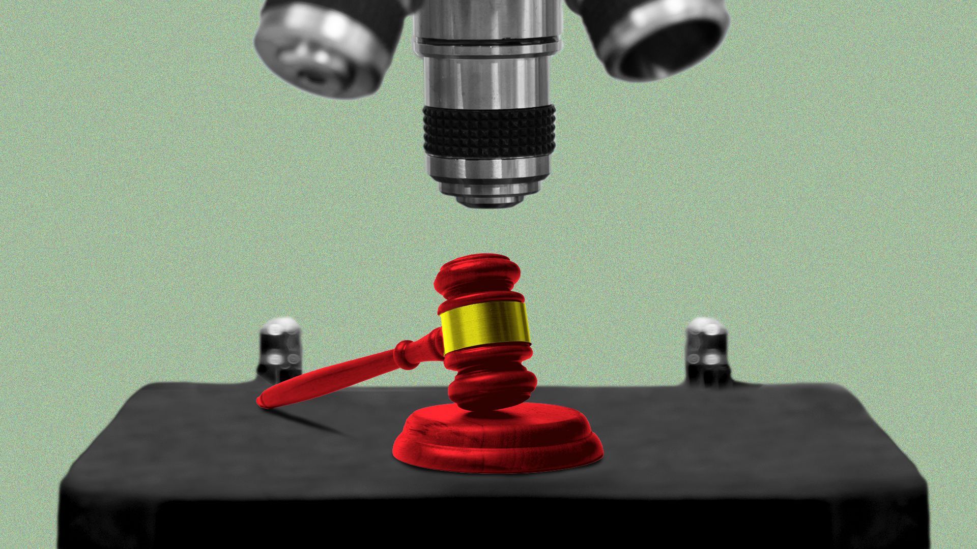 Illustration of a gavel under a microscope.