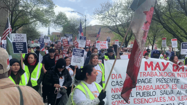 Crowd of diverse protesters in neon vests march on a city street, holding signs like END LABOR ABUSE! and a large banner reading MAY DAY with bilingual text; American flags flutter amid trees and a blue sky.