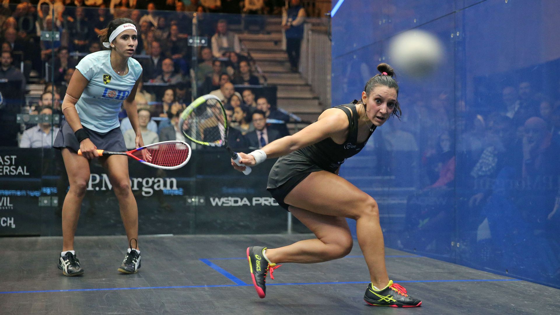 Squash action