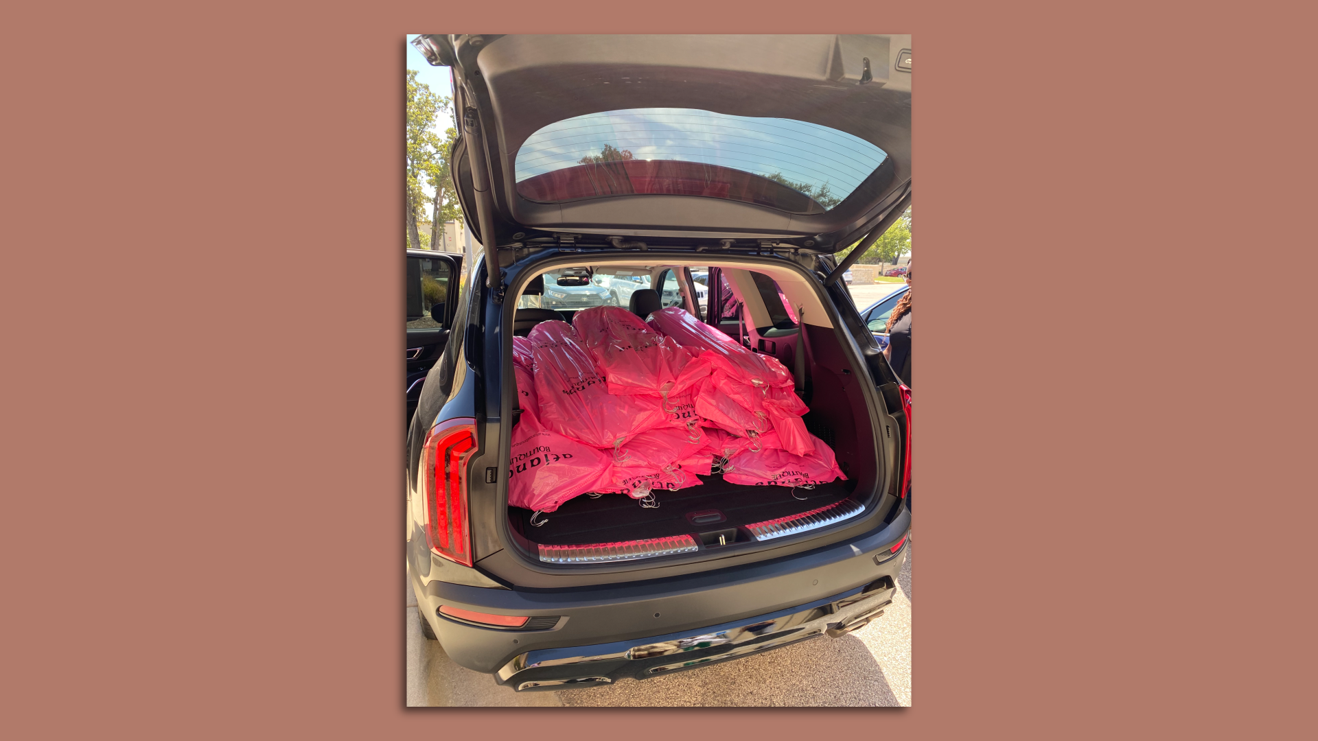 Donated dresses in the trunk of a car.