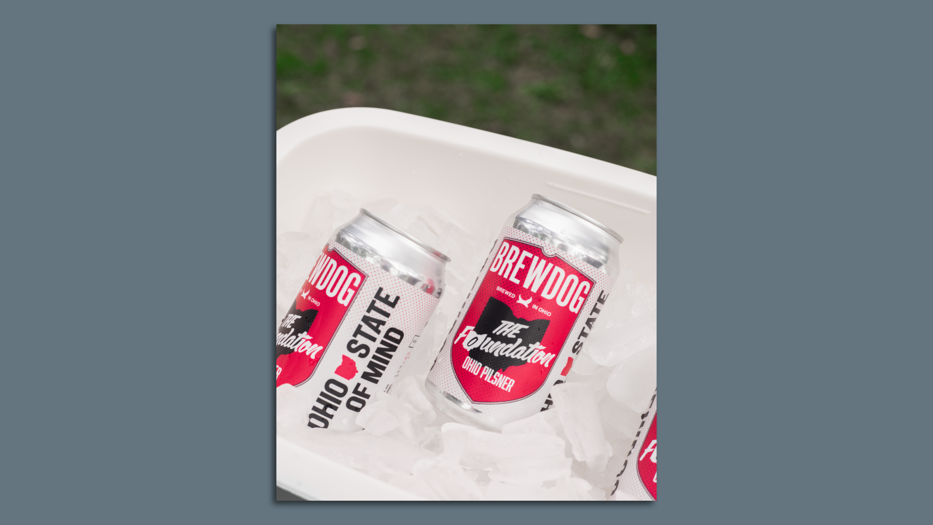 BrewDog beer in a cooler with ice