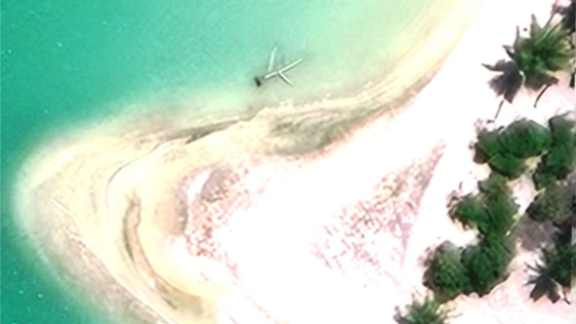 A satellite image shows the Taraia Object in a lagoon on Nikumaroro.