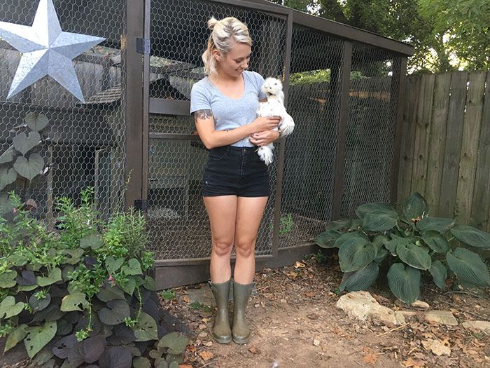raising chickens in charlotte backyard