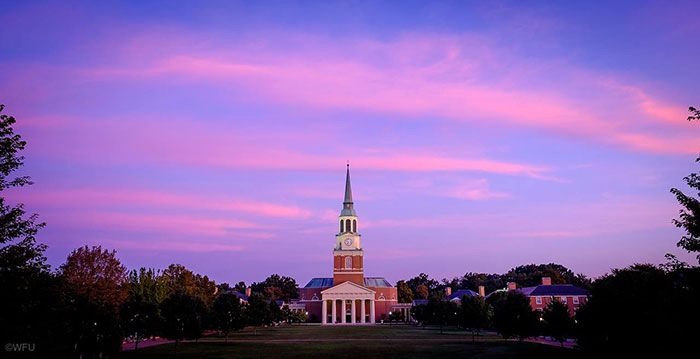 wake-forest