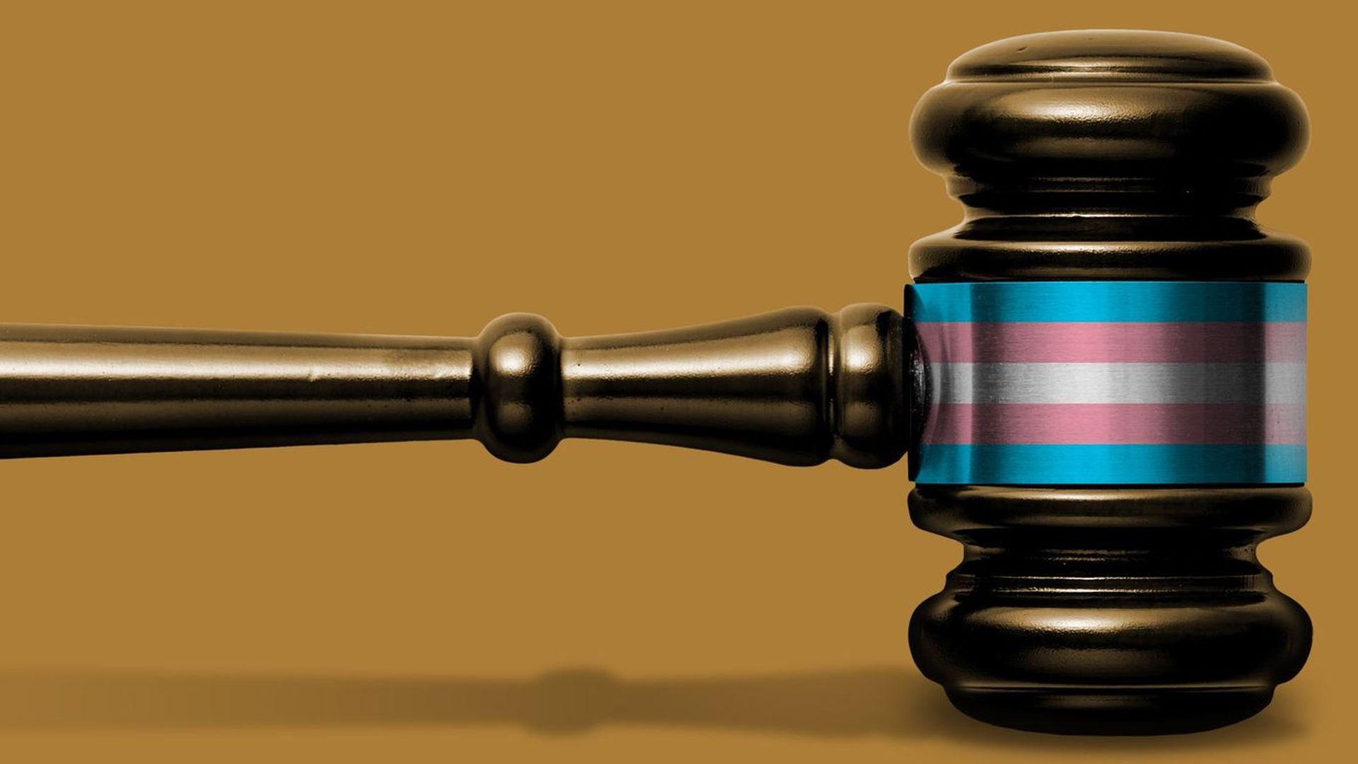Illustration of a gavel with a trans flag on it.