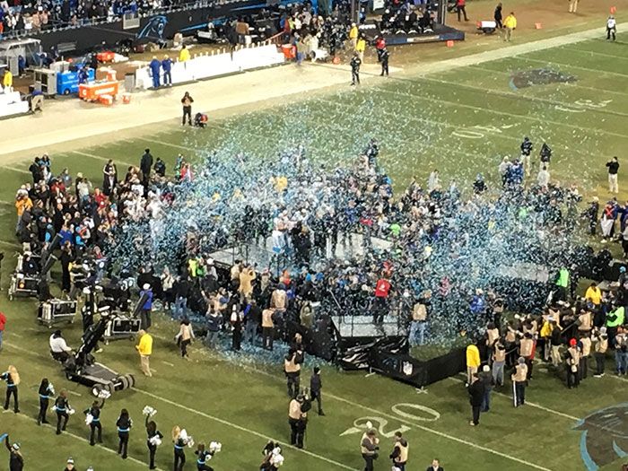 Panthers Confetti