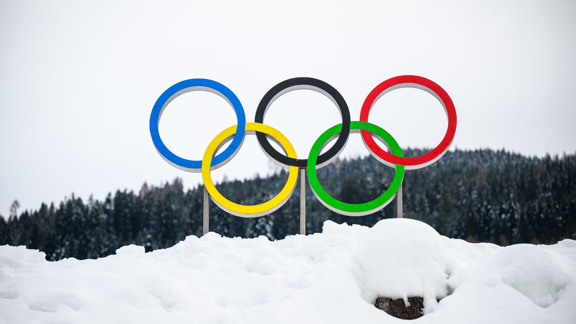 Colorful Olympic rings on metal stands with a snowy foreground and a dark forest in the background under an overcast sky.