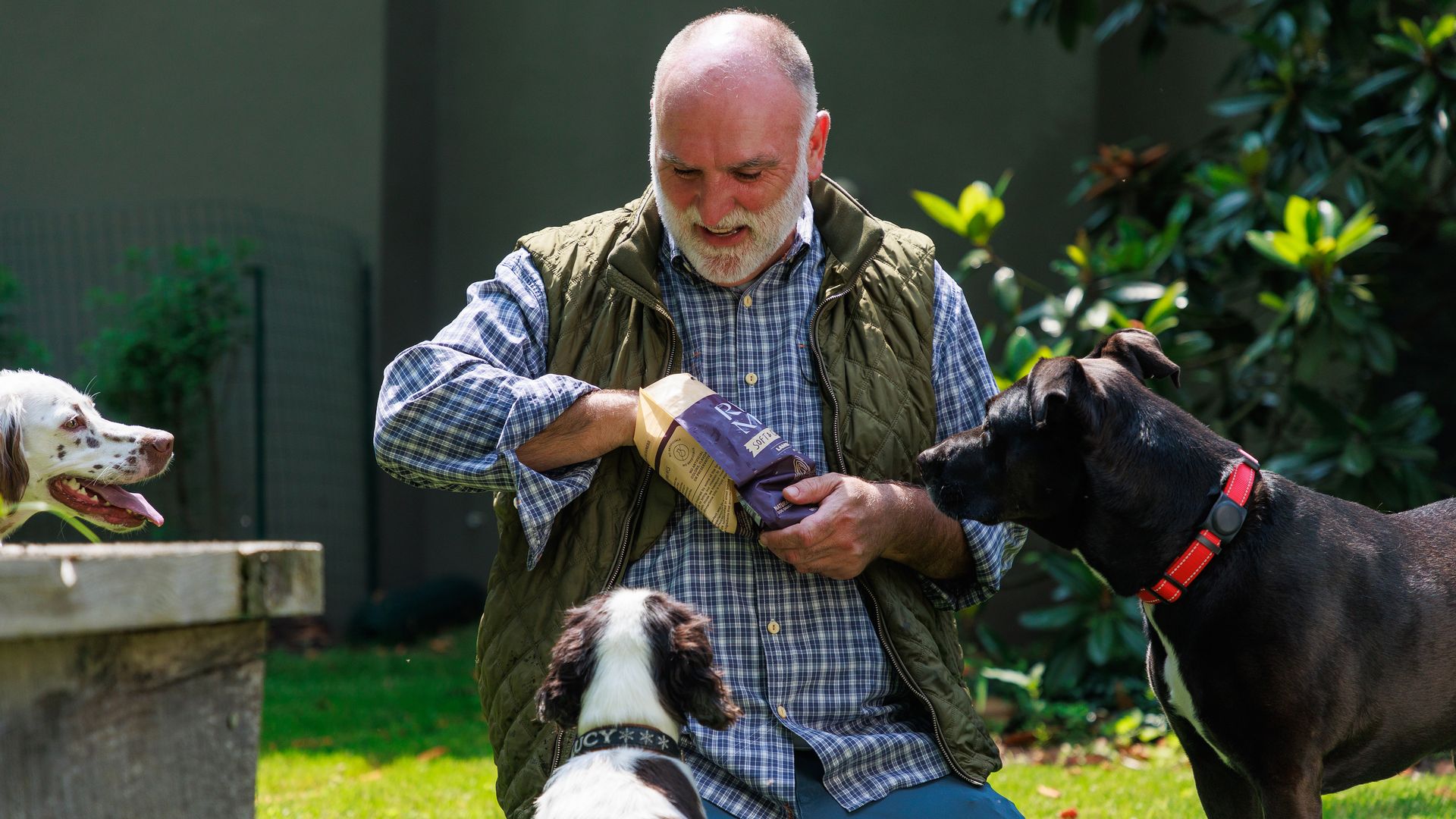 Andres Jose feeds three dogs from his new line of gourmet pet food